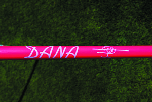 Czech Javelin DANA